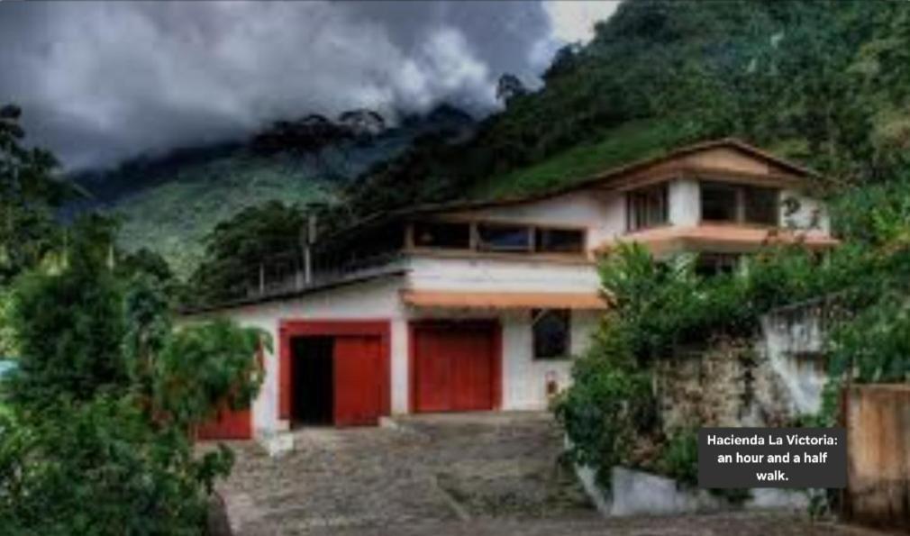 Hotel Minca Express Relax - Base Camp 外观 照片